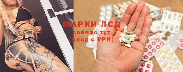 дурь Магас
