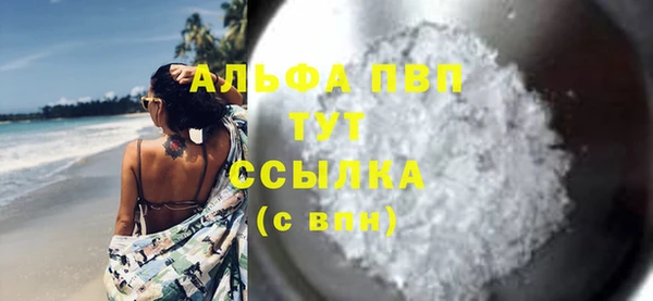 прущие грибы Магадан