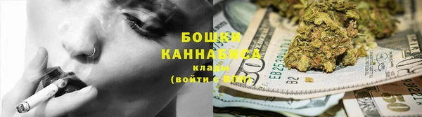 молекула духа Сосновка