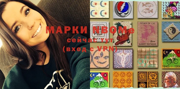 прущие грибы Магадан