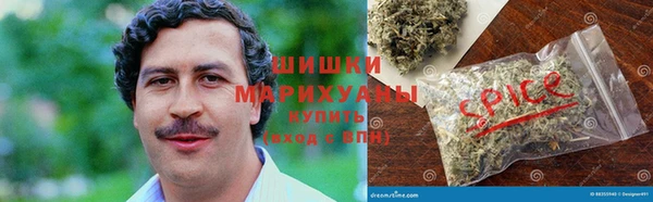 прущие грибы Магадан