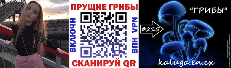 закладка  Берёзовский  Псилоцибиновые грибы MAGIC MUSHROOMS 